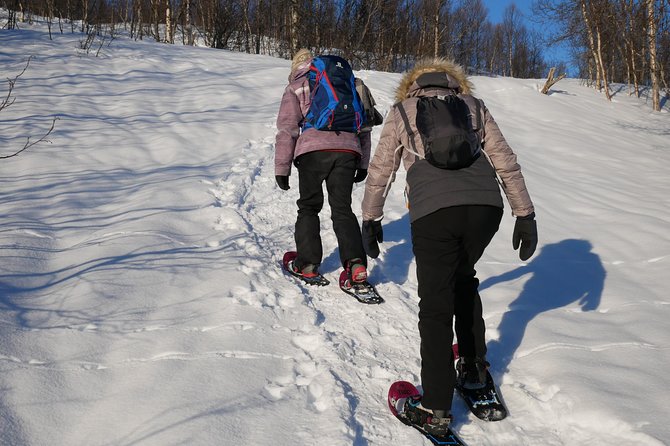 Snowshoeing With A View - The Descent Through Powder Snow