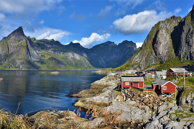 South Lofoten Highlights Photo Tour (Summer) - Key points before you book