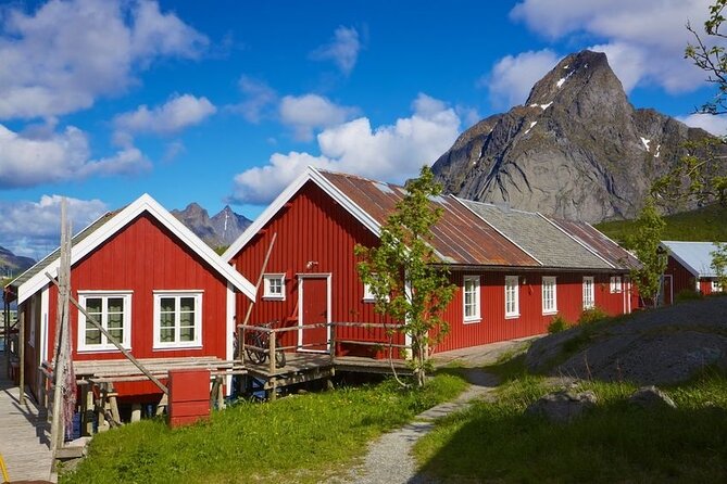 Special Summer Cruise Bus Tour of Lofoten - Nusfjord: an old fishing hamlet in miniature