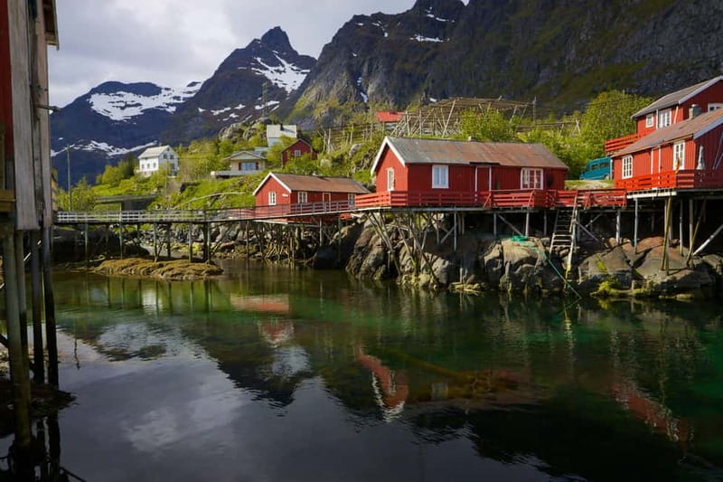 Special Summer Cruise Guided Tour of Lofoten - Why this tour makes sense from a cruise ship