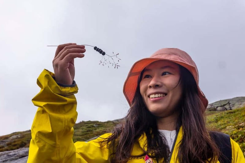 Stavanger: Kjerag Summer Hike with Packed Lunch - Key points before you book