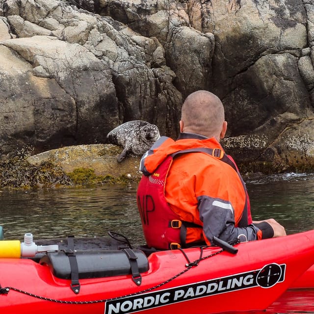 Stavanger: Lysefjord Kayak Safari (Waterfalls & Pulpit Rock) - The secluded lunch stop inside the fjord