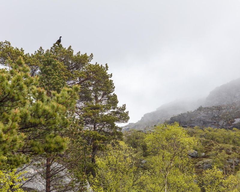 Stavanger: Preikestolen Hidden Trail Hike + Canoe + Lunch - Who should book this hike?