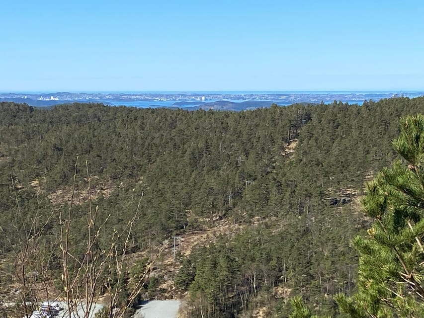 Stavanger: Preikestolen Tour with Guide and Pickup - How the guides shape the day