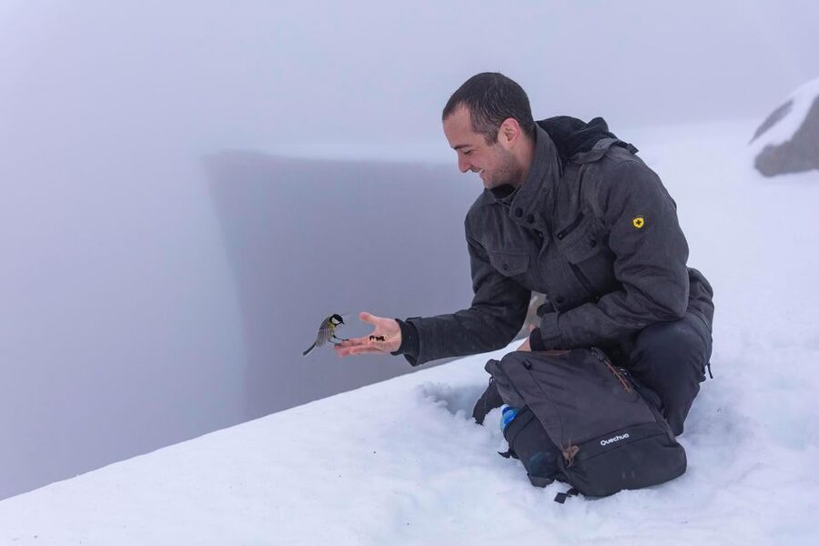 Stavanger: Preikestolen Winter Hike + Hot Lunch - Key Details Before You Book