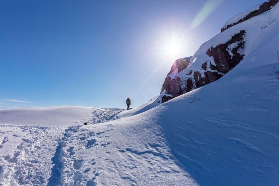 Stavanger: Preikestolen Winter Hike + Hot Lunch - Who Will Enjoy This Hike Most?