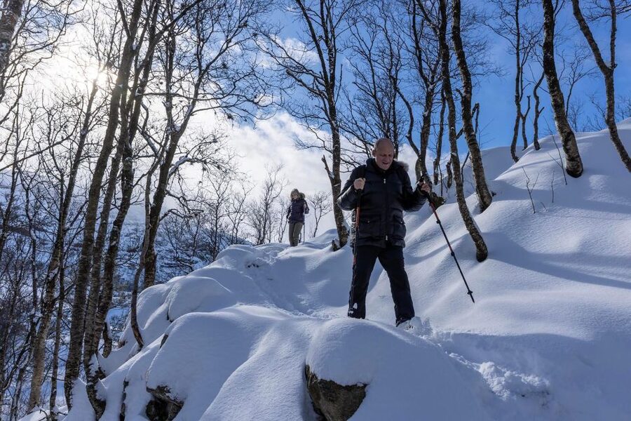 Stavanger: Preikestolen Winter Hike + Hot Lunch - Practical Verdict: Book It for Winter, Think Twice for Summer