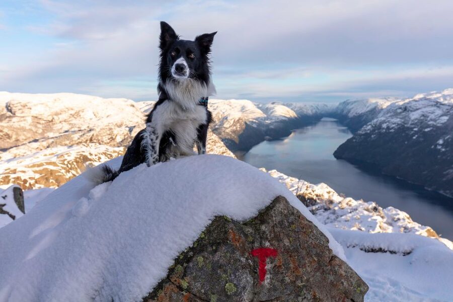 Stavanger: Preikestolen Winter Hike + Hot Lunch - Getting Ready at the Preikestolen Trailhead