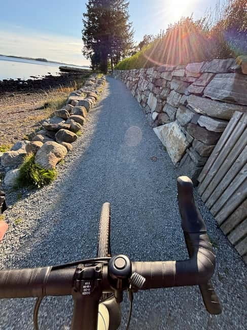 Stavanger: Private Bike Tour with 3 Swords Monument - Crossing Hafrsfjord bru