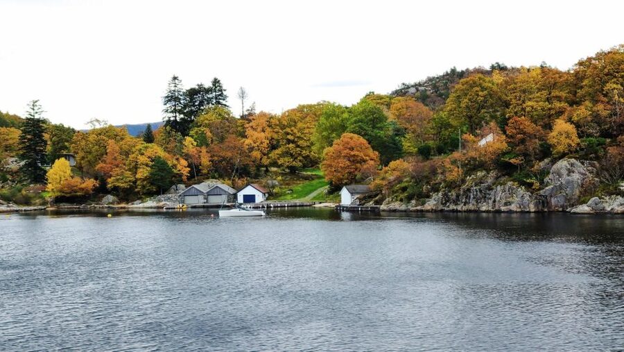 Stavanger: Scenic Fjord Cruise to Lysefjord and Preikestolen - Who will enjoy this cruise most?