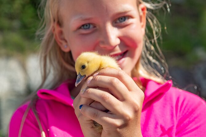 Steim Farm Experience in Vik, Norway - What makes Steim Farm worth your time