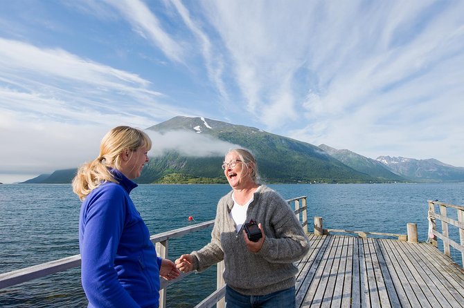 Summer Fjord Road Trip with Citizen Science with Wandering Owl - The drive from Tromsø to Whale Island