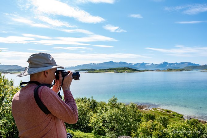 Summer Fjord Road Trip with Citizen Science with Wandering Owl - The beach picnic is more than a lunch break