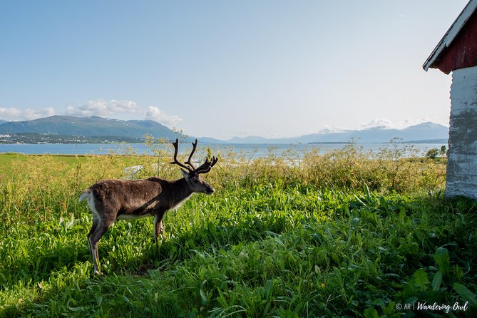 Summer Fjord Road Trip with Citizen Science with Wandering Owl - Citizen science adds a welcome layer