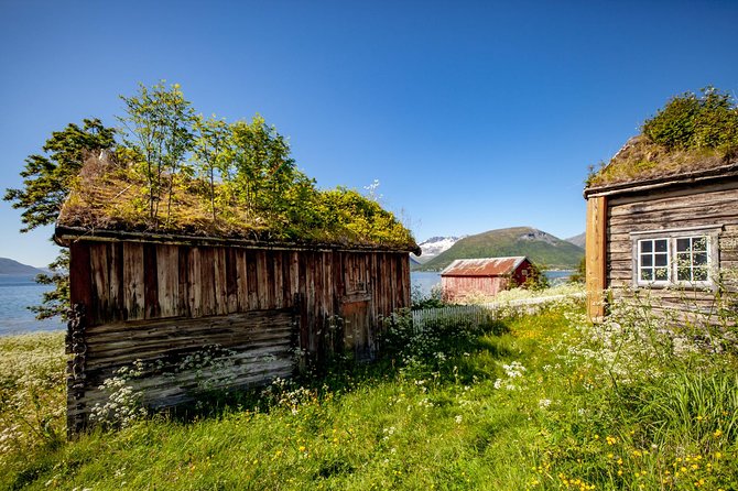 Summer Fjord Road Trip with Citizen Science with Wandering Owl - Ersfjord and Grøtfjord: fjords without a long hike