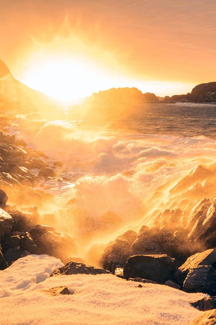 Svolvær and Henningsvær Sightseeing and History Tour - Who should book this experience