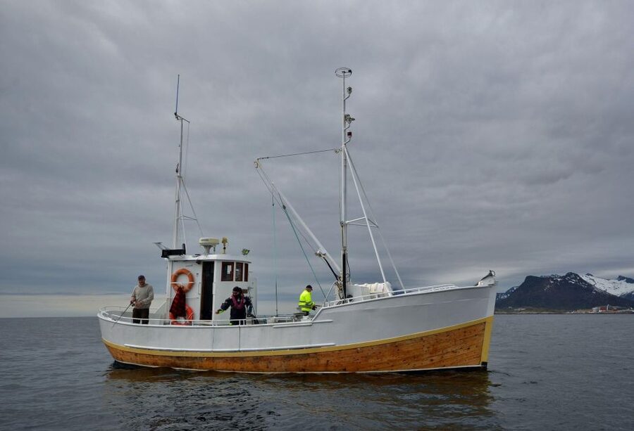Svolvær: Fishing Trip on the Lofoten Sea - Meeting MS Luna in Svolvær
