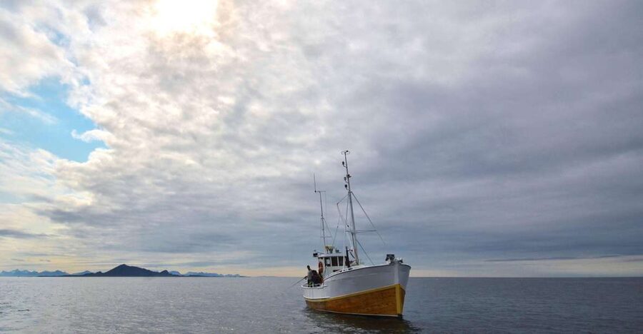 Svolvær: Fishing Trip on the Lofoten Sea - What you might catch in summer