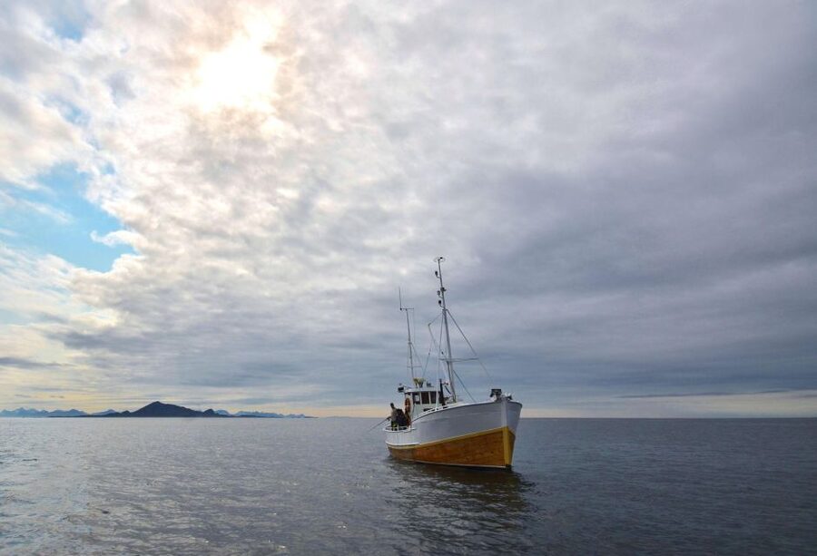 Svolvær: Fishing Trip on the Lofoten Sea - Three hours on the Lofoten Sea