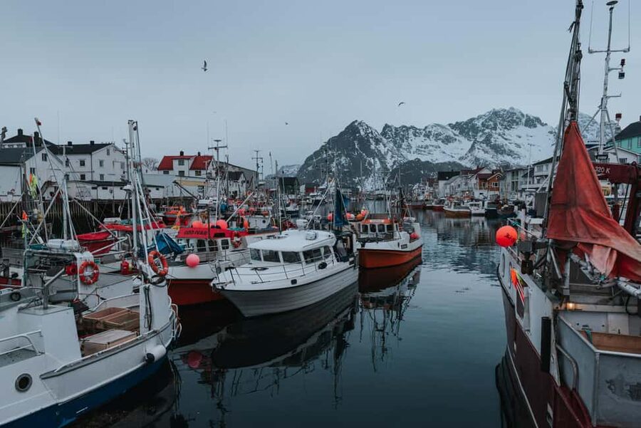 Svolvær: Lofoten Scenic Sightseeing Tour: Half day tour - The Lofoten details that matter most