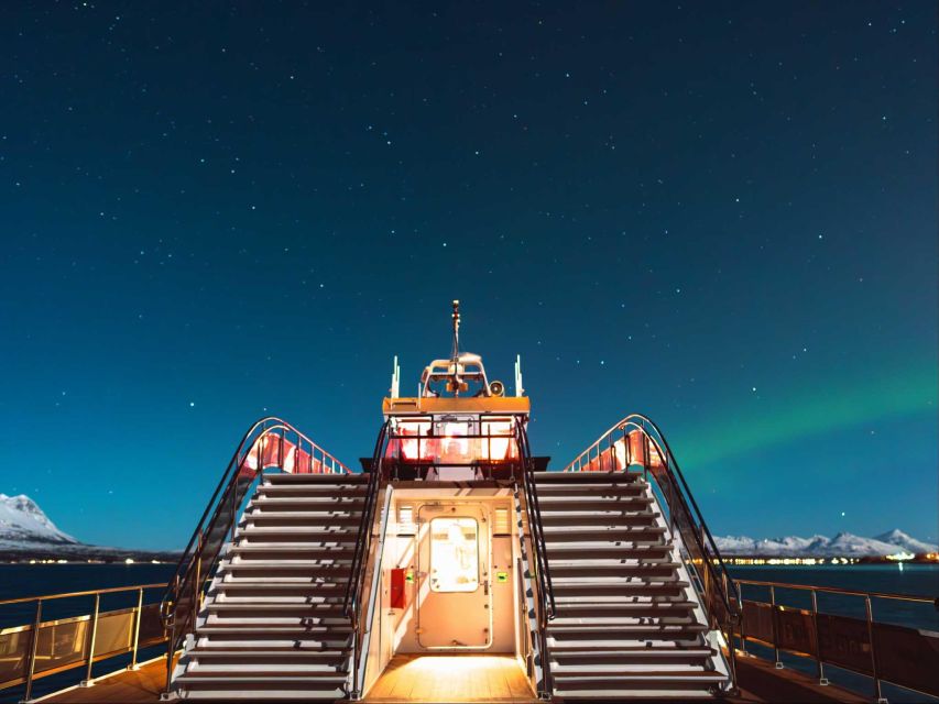 Svolvær: Northern Lights and Full Steam Cruise with Tasting - My take on the full experience