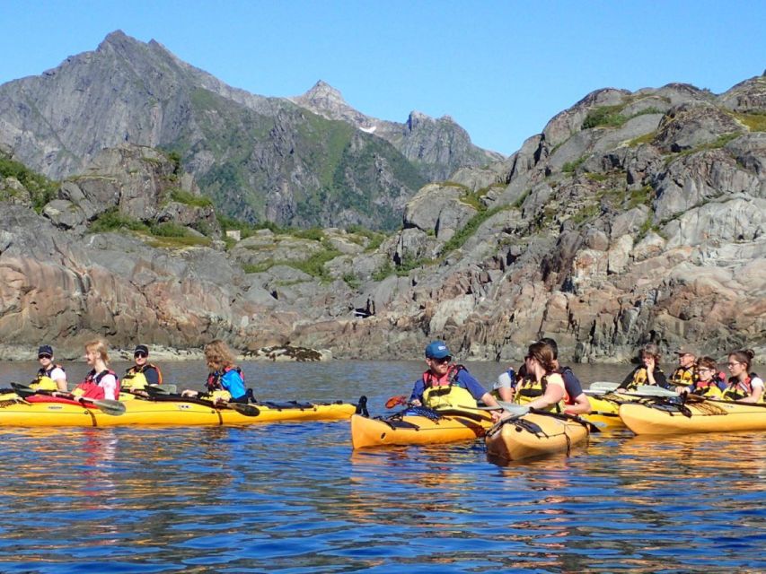 Svolvaer: Sea Kayaking Experience - Looking for seabirds and the white-tailed sea eagle