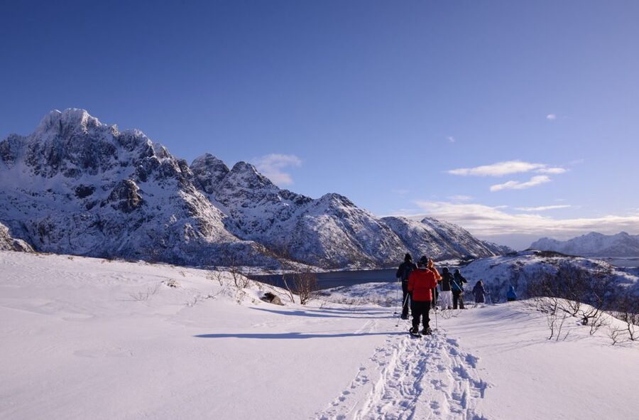 Svolvær: Snowshoe Nature Explorer - How much walking will you really do?