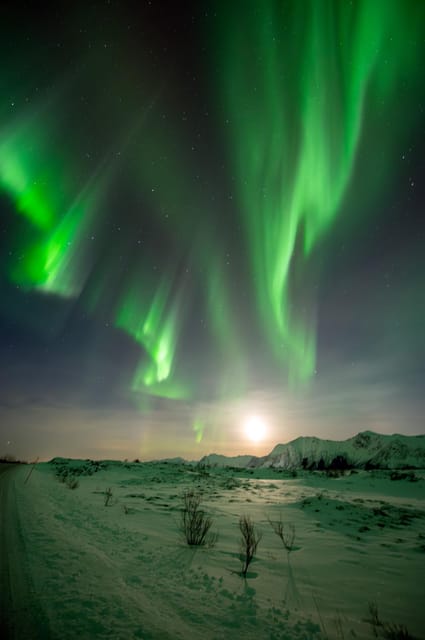 Svolvær: Ultimate Aurora Hunt - Hot drinks, cold skies, and the practical comfort factor