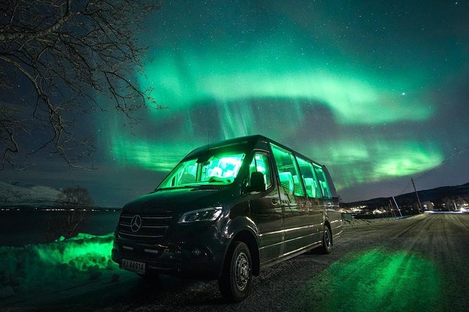 Symphony - Arctic Breeze, teamining up with nature. - The Northern Lights themselves