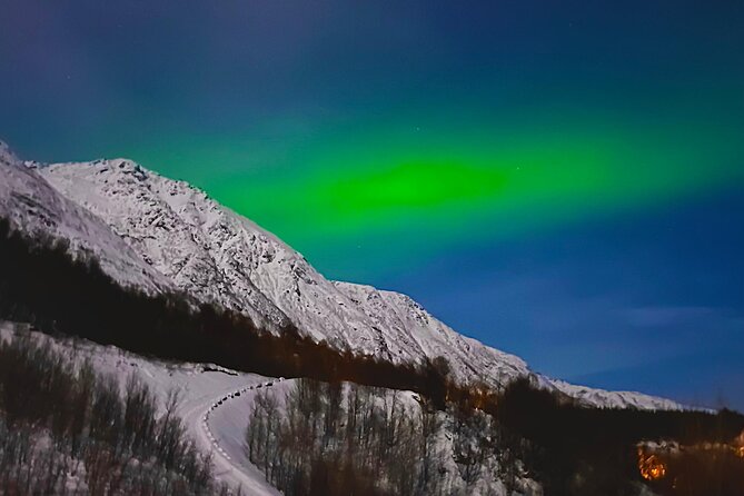 The Aurora Tour - small group, northern lights - Campfire, hot chocolate, and the human side of the evening