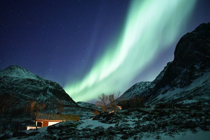 The Aurora Tour - small group, northern lights - Photography help can be excellent, but confirm what is included