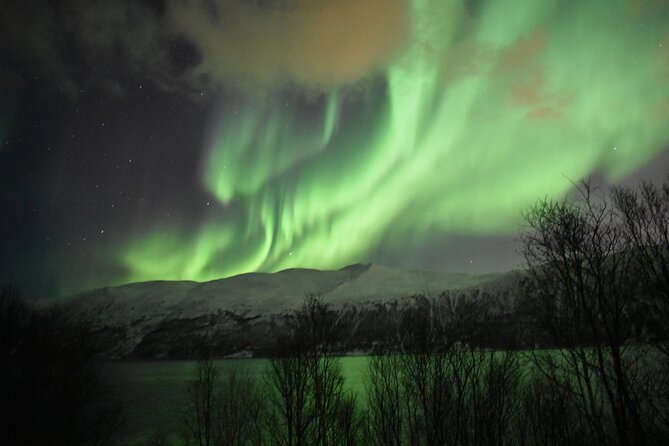 The Aurora Tour - small group, northern lights - The guide makes or breaks the evening