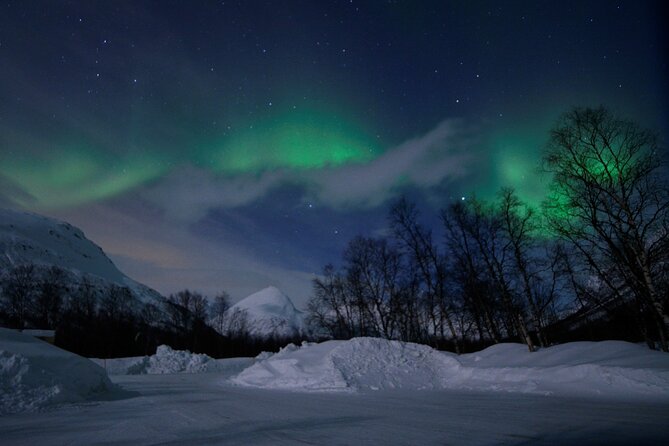 The Aurora Tour - VIP trip for northern lights, aurora borealis - Setting out from Tromsø at 7 p.m.