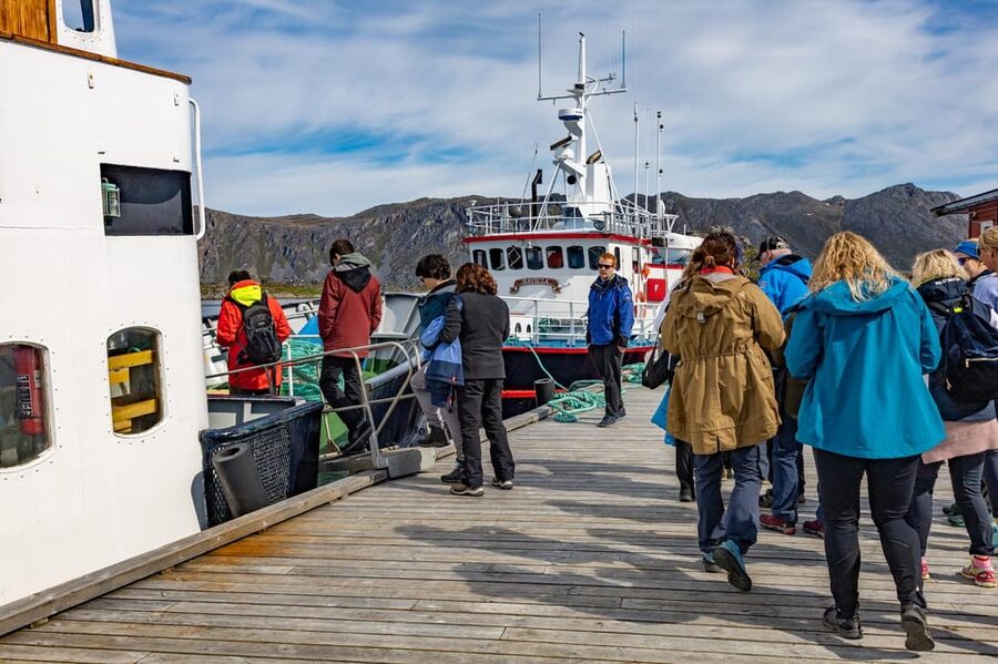 The Bird Safari Tour - Ten minutes to Gjesværstappan Nature Reserve