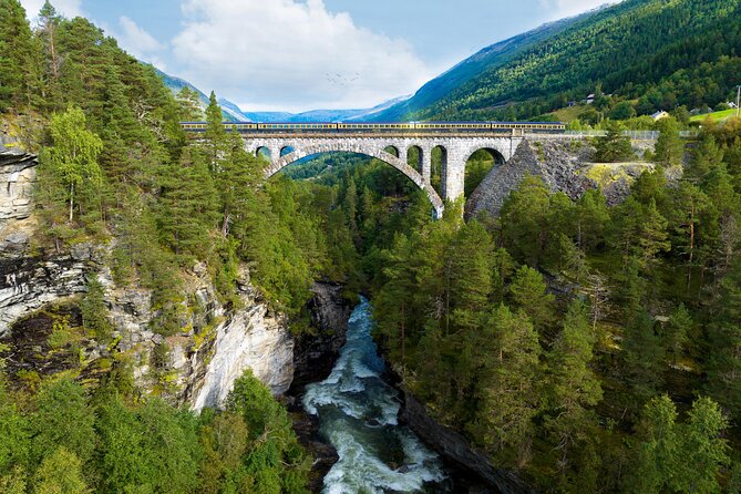 The Golden Train on Rauma Railway in Romsdalen - Key points to know before you go