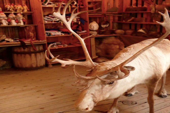 The North Cape, Reindeer and Sami Families Tour - Fishing villages and Honningsvåg sightseeing