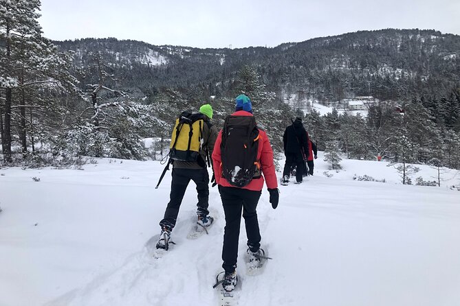 The Southern Norwegian Winter Wonderland Experience - Snowshoeing through clean white snow