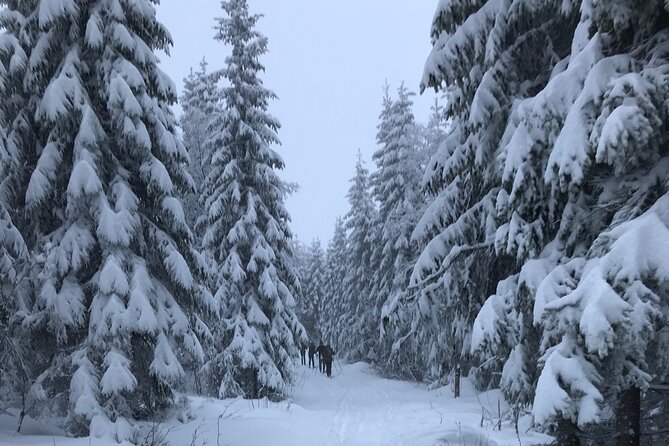 The Ultimate Norwegian Skiing Experience - Equipment is included, but clothing is not