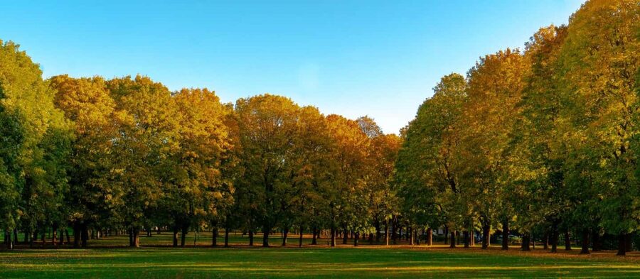 The Vigeland Park in Oslo: Insta-Perfect Walk with a Local - Should you book this Oslo photo walk?