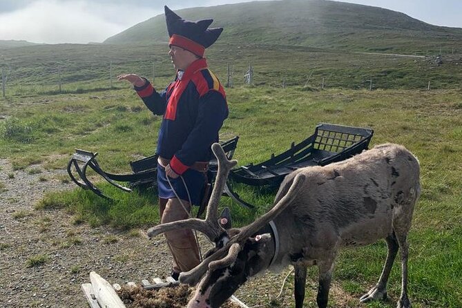 The VIP North Cape Tour - Key points before you book