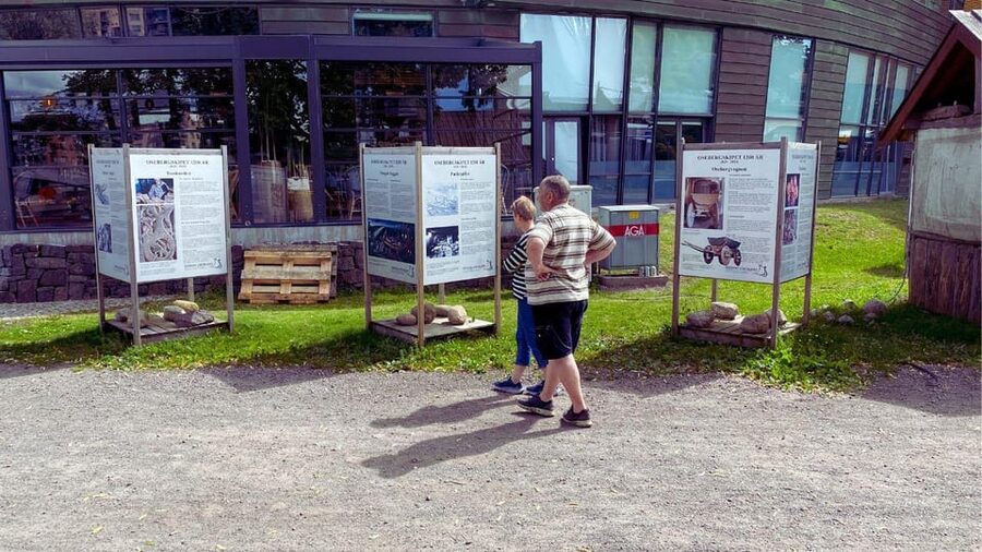 Tønsberg: Walk with a Viking - Guided Tour - Key points to know before you book