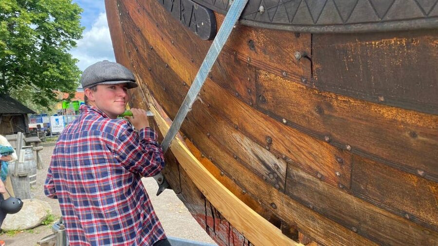 Tønsberg: Walk with a Viking - Guided Tour - Why the Oseberg and Gokstad finds matter