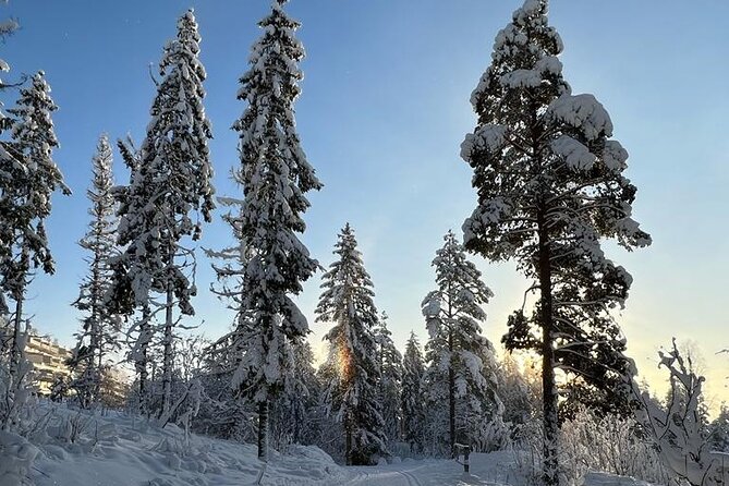 Top of Oslo Snowshoe Tour - From Oslo Central Station to the snowy woods