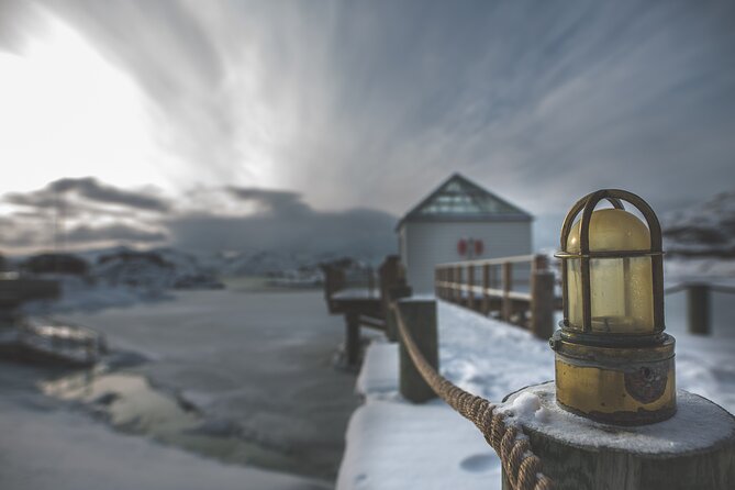 Tour of the authentic fjords of Kvaløya - Winter roads, wildlife, and changing conditions