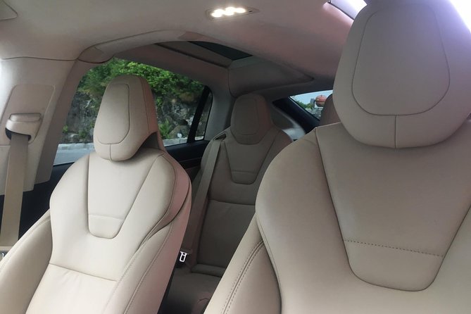 TRANSFER, LUXURY CAR 1-3 PAX: Bergen airport transfer - Luggage, children, and service animals