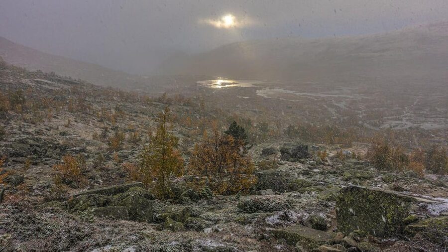 Trolltunga Autumn Hike Go Viking - Final verdict: a hard day with real mountain character