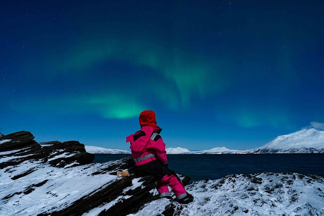 Tromsø- 3 days experience - Key points to know before booking