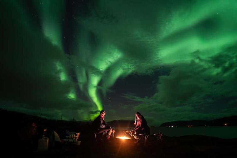 Tromsø: Adult Only Aurora hunt with Citizen Science - Key points at a glance