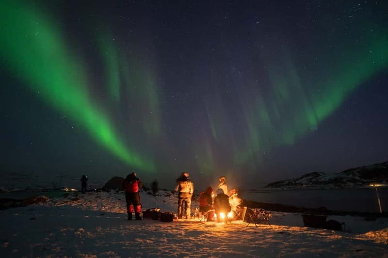 Tromsø: Adult Only Aurora hunt with Citizen Science - Thermal suits, boots, and the realities of Arctic cold