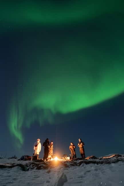 Tromsø: Adult Only Aurora hunt with Citizen Science - A campfire, vegan soup, and a welcome pause